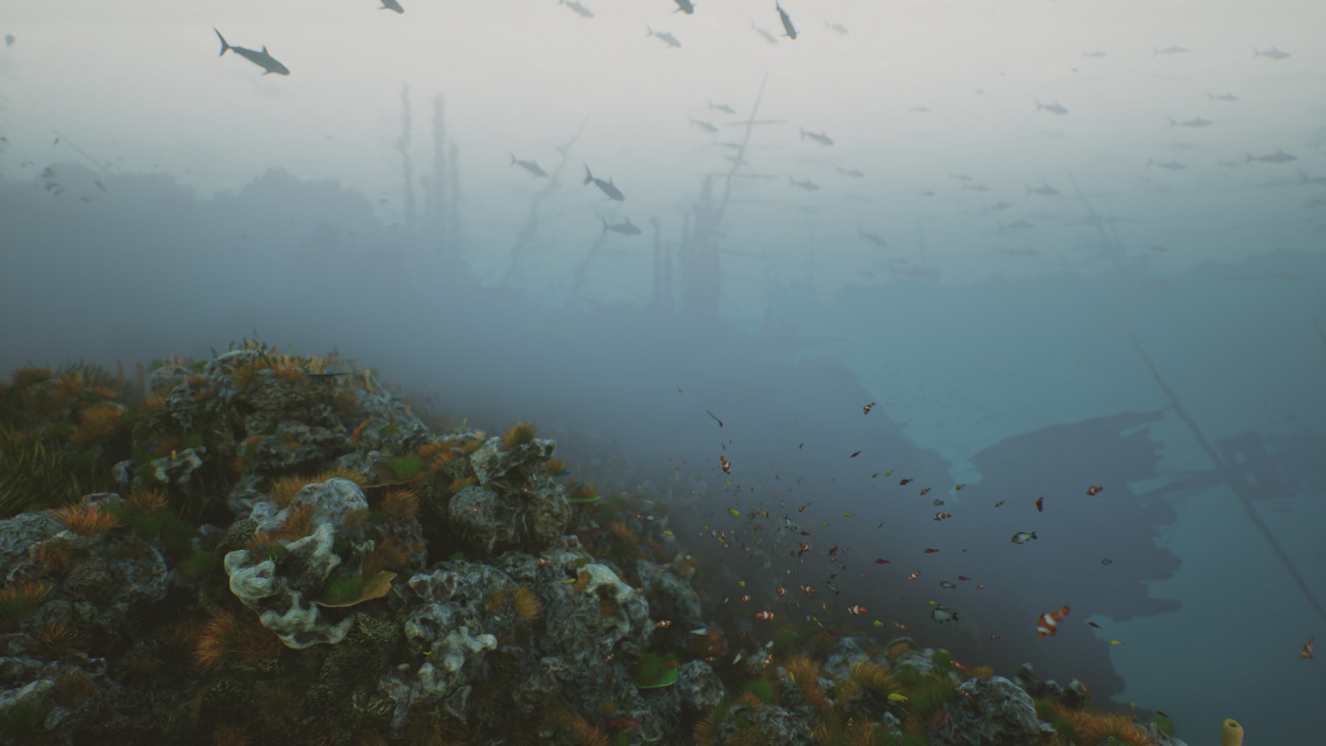 海底植物石头鱼类潜水员沉船场景3D模型UE设计素材 Bay Submerged Ships , 第19张