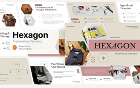 现代简约品牌营销策划提案简报设计ppt模版 Hexagon Brand Proposal Template