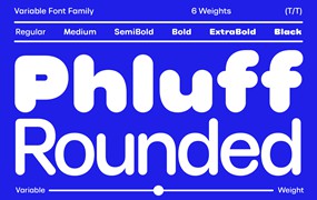 时尚复古品牌杂志海报徽标设计无衬线英文字体安装包 Round Sans Font Phluff