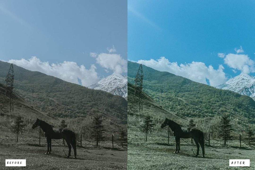 12组时尚复古电影婚礼博主摄影照片调色Lightroom预设 12 Mount Fuji Lightroom Presets , 第3张