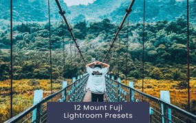 12组时尚复古电影婚礼博主摄影照片调色Lightroom预设 12 Mount Fuji Lightroom Presets