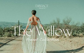 柔和棕色调电影美学婚礼人像肖像摄影照片调色Lightroom预设 Embrace Nation – The Willow Collection for Lightroom