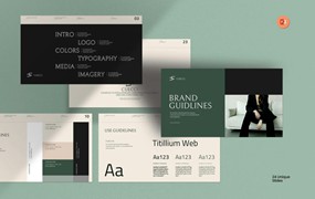 创意简约品牌营销策划演示文稿设计ppt模版 Brand Guidelines Presentation Template