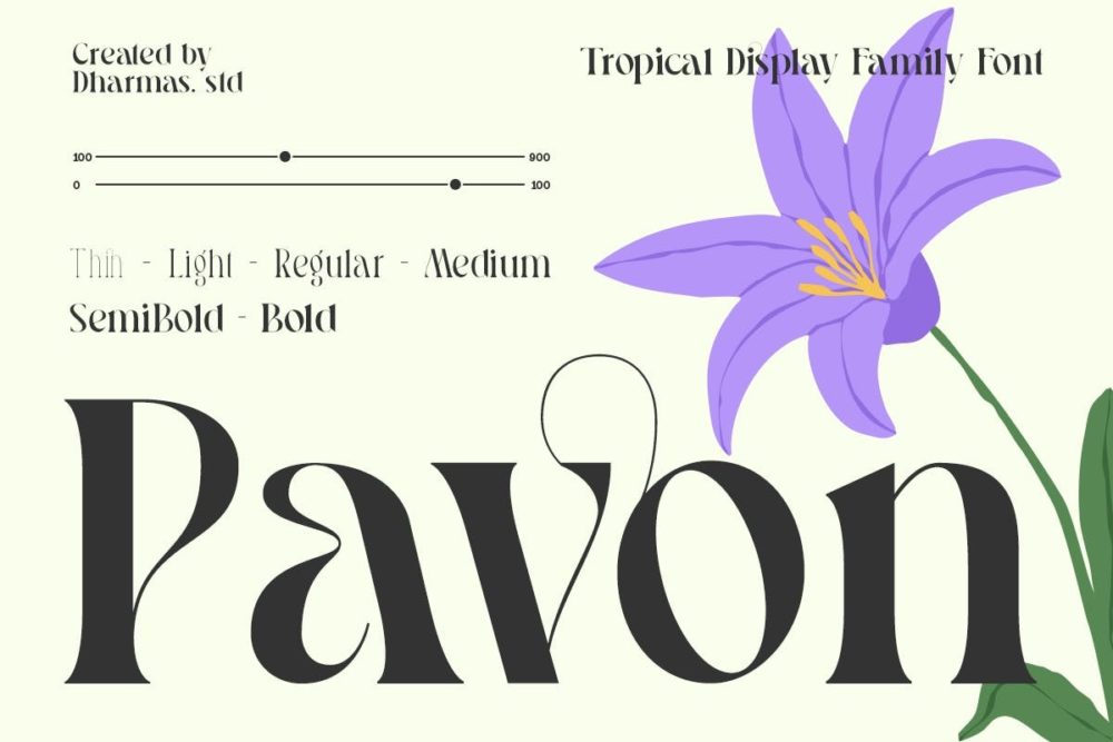 优雅复古品牌海报婚礼徽标设计衬线英文字体安装包 Pavon – Modern Luxury Font , 第1张