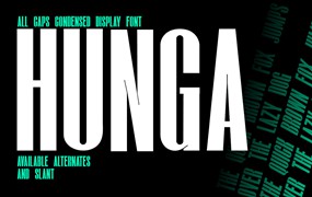 现代极简杂志海报徽标设计无衬线英文字体安装包 Hunga – Condensed Type