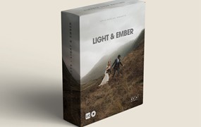 光与灰烬枫叶季暗调氛围电影感婚礼人文旅拍LR调色预设 Archipelago Presets LIGHT & TRUTH