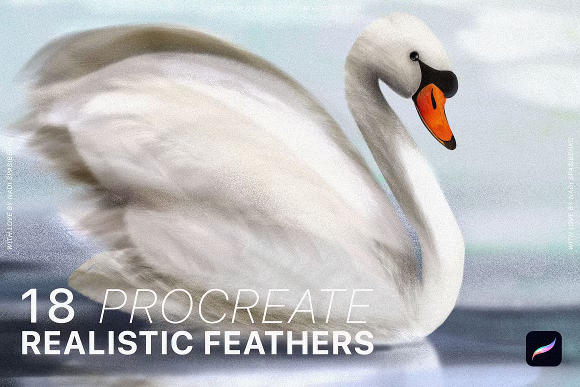 Procreate Realistic Feather Brushes 18个逼真的动物羽化Procreate笔刷 笔刷资源 第2张