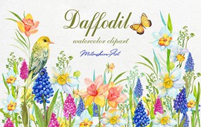 Daffodil Narcissus Watercolour 34个复古精美水仙花卉剪贴画免扣PNG