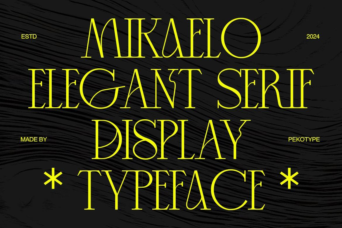 时尚优雅品牌婚礼徽标设计衬线英文字体安装包 Mikaelo – Elegant Serif Typeface , 第11张