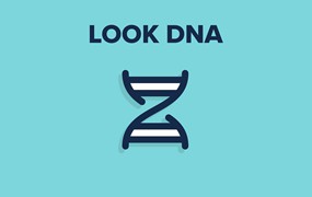 QT Look DNA — Qazi's Toolkit 复古美学柯达富士胶片负片模拟电影感DCTL达芬奇插件