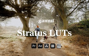 Gamut - Stratus LUTS 6个自然喜怒无常温暖婚礼人像棕褐色铜色调色LUT