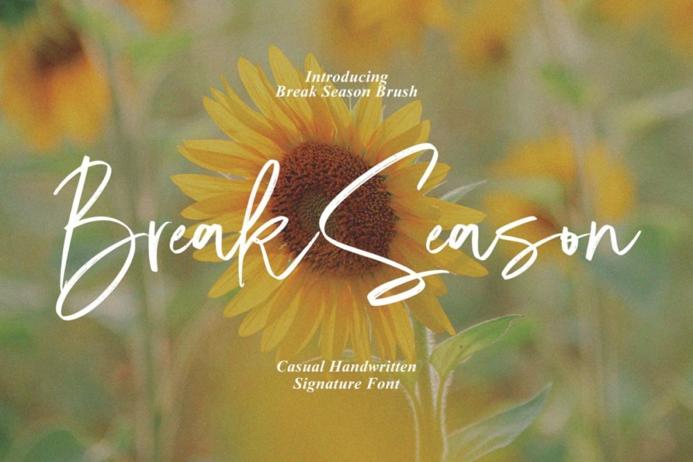 现代杂志海报徽标设计手写英文字体安装包 Break Season – Casual Signature 设计素材 第1张