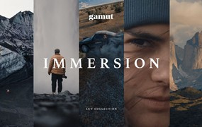 Gamut - Immersion 热门情绪氛围美学旅拍电影感LUT调色预设