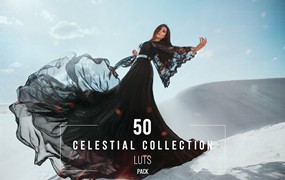 50种时尚电影大片LUT预设合集 Celestial LUT and Presets Collection