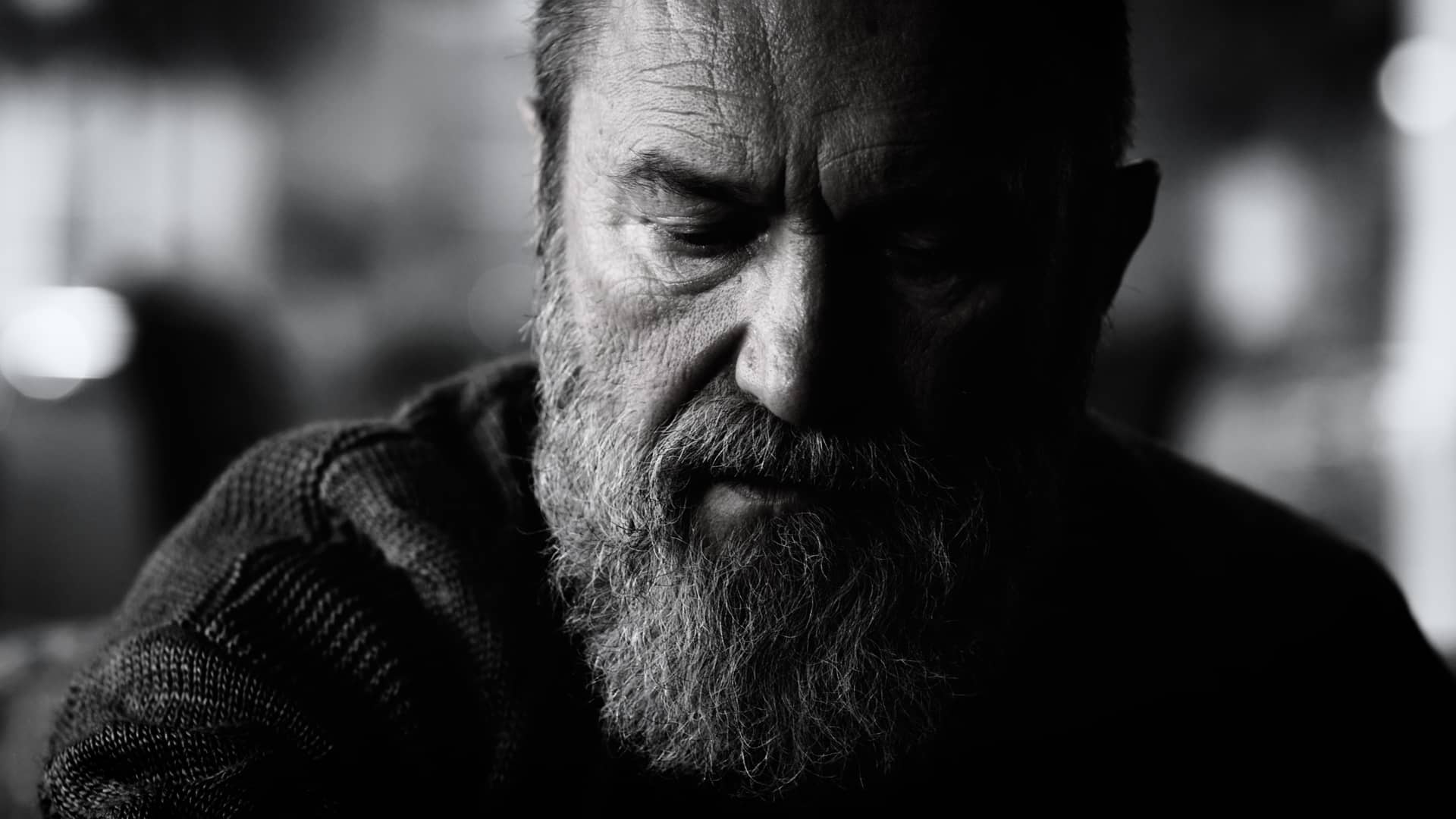 The LUT Store – Black & White Cinematic LUTs 插件预设 第5张