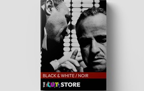 The LUT Store – Black & White Cinematic LUTs