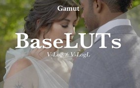 专业Panasonic松下相机旅行V-log灰片还原LUT调色预设 Gamut – Panasonic BaseLUTs for V-Log / V-LogL