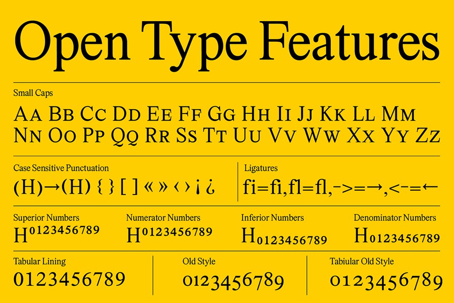 英文字体：罗马现代古典美学艺术衬线英文标题logo排版装饰手写字体组合 Marjorie Variable Serif + Italics , 第7张