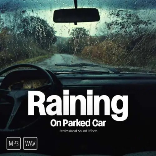 音效：8种下雨天车内音效素材 Zapsplat Raining on Parked Car , 第1张