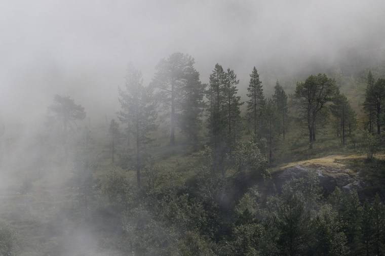 飞思预设 梦幻深沉情绪化旅拍风景摄影照片调色Capture One预设包 Northlandscapes Capture ONE Master Collection , 第28张