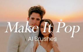 27款温暖明亮橙色色调婚礼照片调色Lightroom预设包 Cassidy Lynne – Make It Pop! AI Brushes