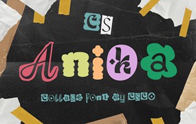 时尚创新品牌海报传单设计装饰英文字体安装包 Anika – Collage Font