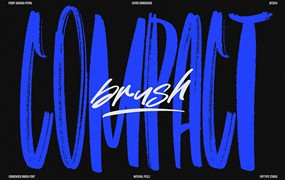 现代优雅品牌海报包装标题设计手写英文字体安装包 Compact Brush Condensed Brush Branding logo Font