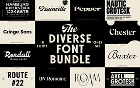 The Diverse Font Bundle 18种LOGO徽标网页设计印刷包装平面海报设计无衬线字体套装