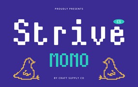 时尚怀旧品牌海报游戏设计装饰英文字体安装包 Strive Mono – Monospaced Font