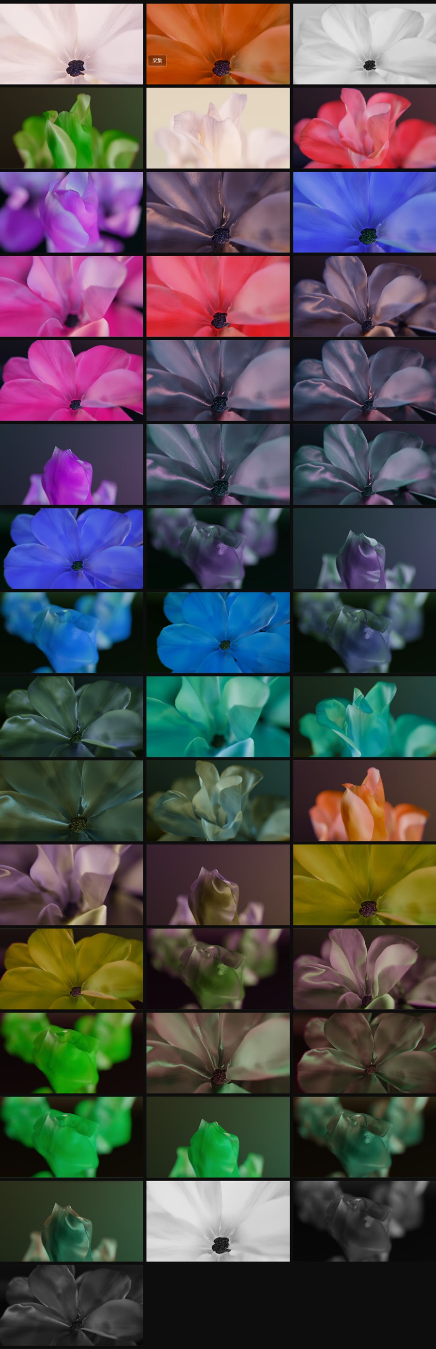 Artlist 46个4K花朵盛开动画视频素材Animated Blooming - Flower,Unfolding,Animated , 第2张