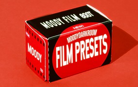 Moodydarkroom - Moody Film Preset Pack 12个复古怀旧梦幻柔光感胶片模拟电影感Lightroom预设