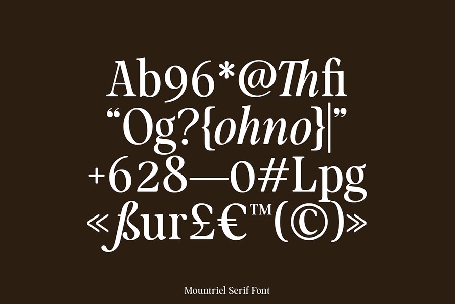 90年代复古永恒欧风杂志海报标题LOGO设计PSAI衬线英文字体素材 Mountriel — Classic Serif Font , 第6张