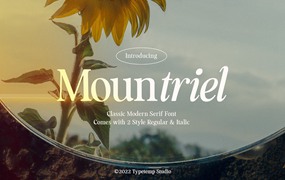 90年代复古永恒欧风杂志海报标题LOGO设计PSAI衬线英文字体素材 Mountriel — Classic Serif Font