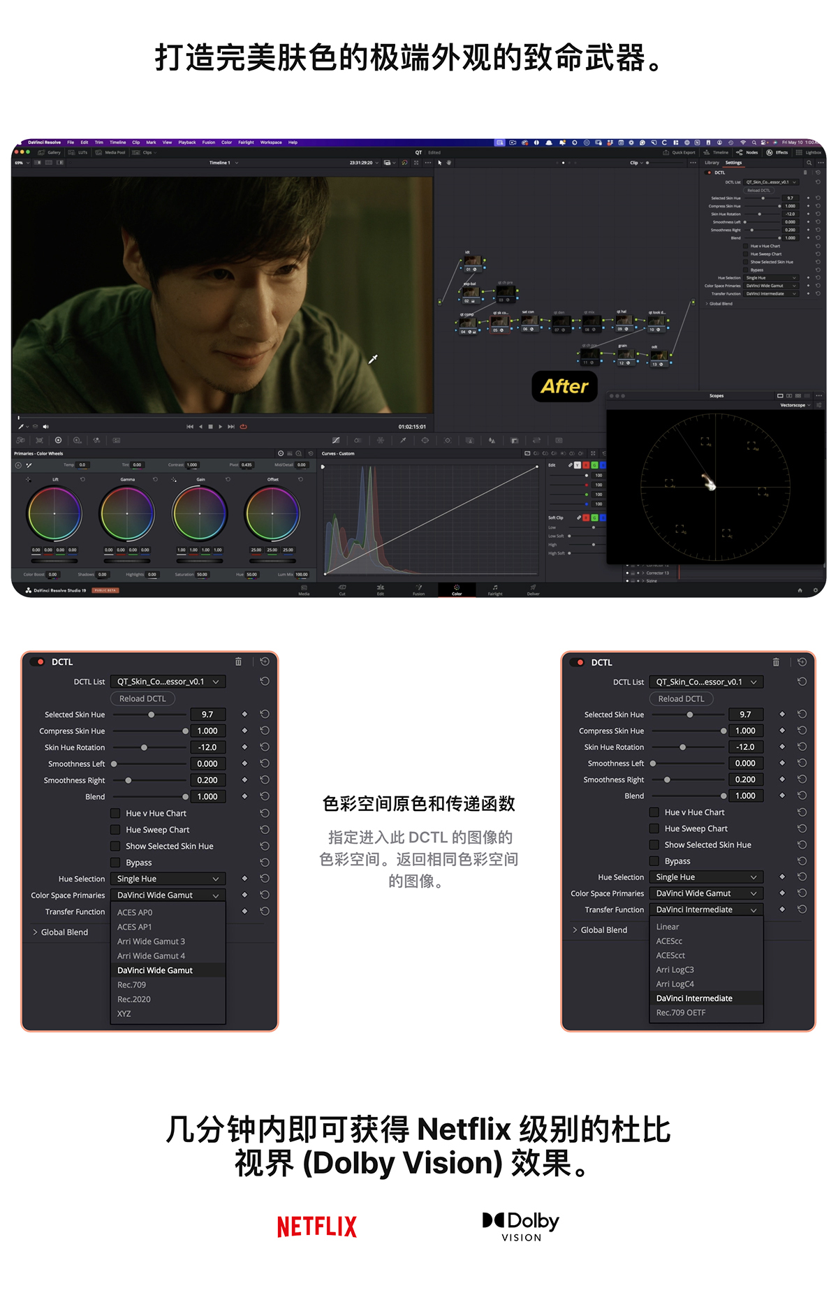 QT Skin Compressor — Qazi’s Toolkit 网飞电影级完美皮肤色调/色相压缩混合调整达芬奇DCTL插件 , 第7张