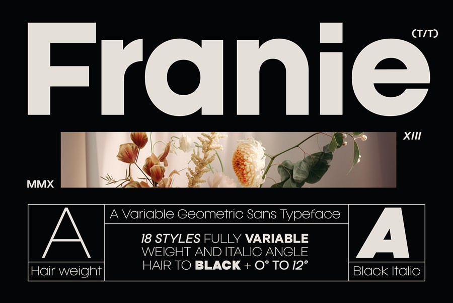 现代高级精美潮流几何风格无衬线时尚PSAI西文英文字体安装包 Franie Geometric Sans Family , 第1张