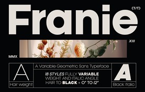 现代高级精美潮流几何风格无衬线时尚PSAI西文英文字体安装包 Franie Geometric Sans Family