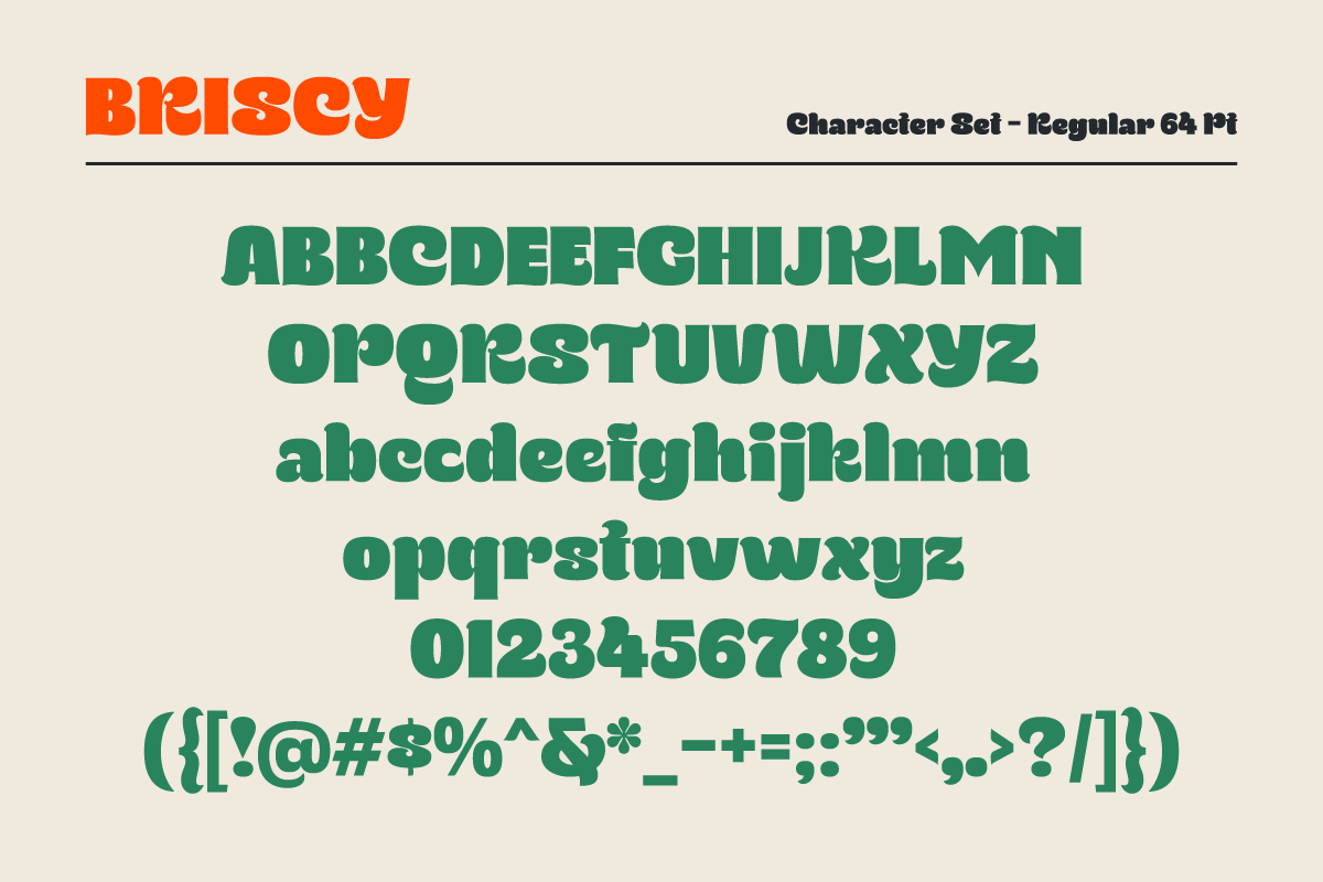 时尚俏皮品牌海报徽标包装设计衬线英文字体安装包 Briscy Display Font , 第9张