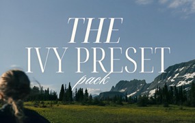 复古忧郁极光绿冷暖混合色调婚礼旅拍Lightroom调色预设 Tess Gearhart - THE IVY PRESET PACK