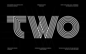 英文字体：多线条重合叠加抽象艺术无衬线西文装饰字体 Two – Modern Logo Display Typeface