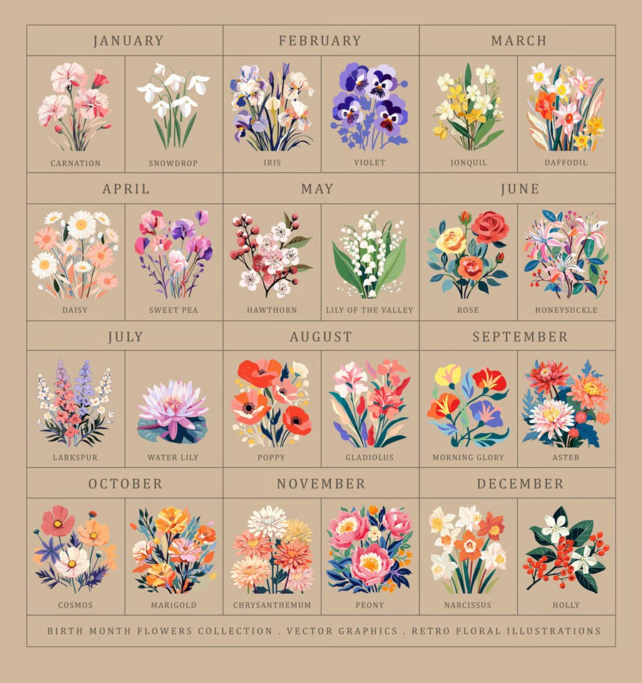 24幅花卉插图艺术风格海报AI矢量/PNG花卉剪贴画素材Birth Month Flower Market Wall Art Poster Cliparts , 第9张