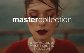 永恒怀旧复古电影外观高对比度肖像照片调色Lightroom预设包 LUIZCLAS – MASTER COLLECTION