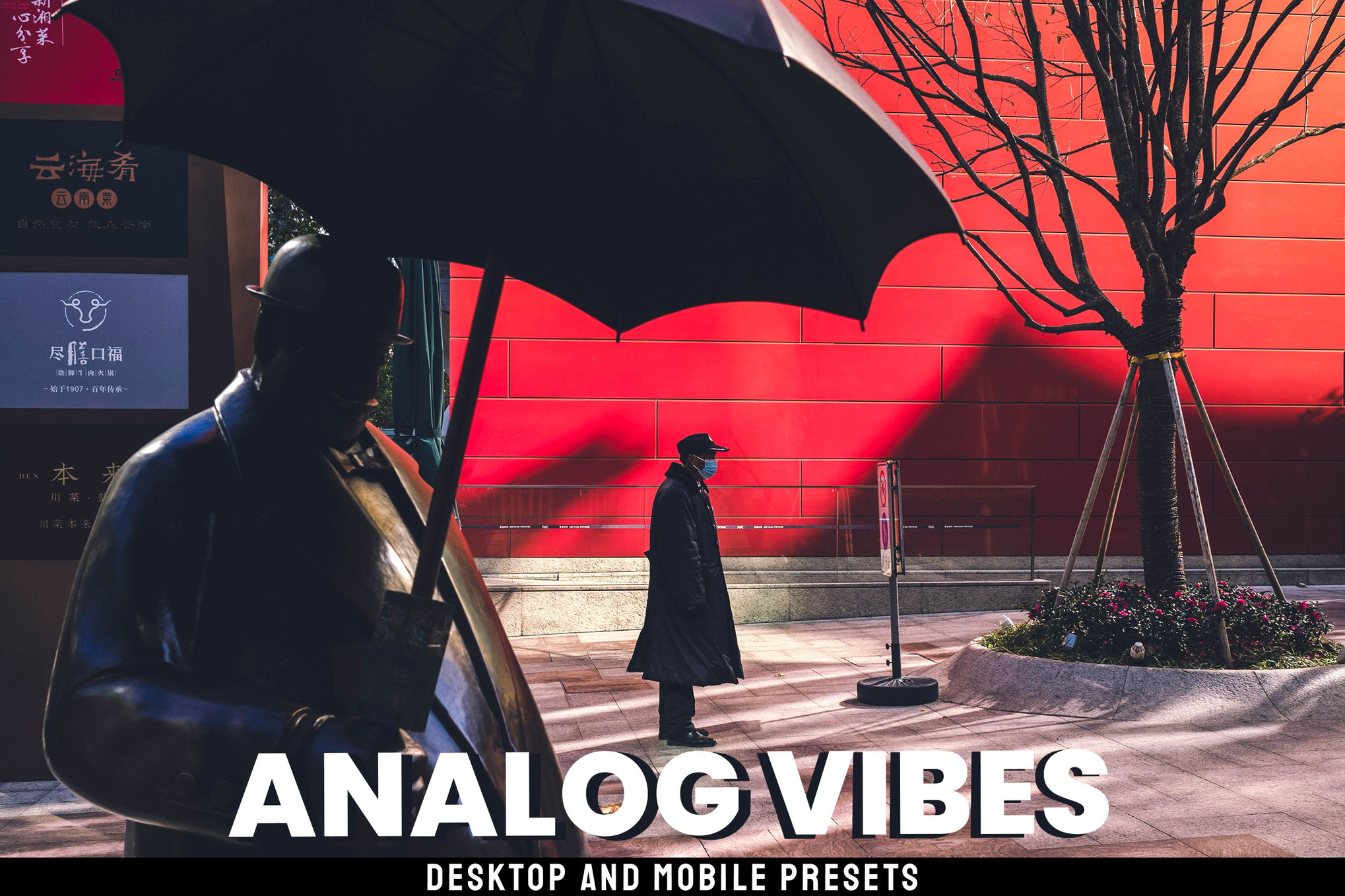 复古时尚ins风户外旅拍摄影照片调色Lightroom预设包 Analog Vibes – Desktop and Mobile Presets , 第1张