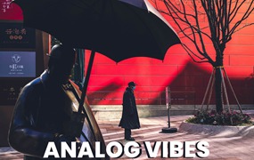 复古时尚ins风户外旅拍摄影照片调色Lightroom预设包 Analog Vibes – Desktop and Mobile Presets