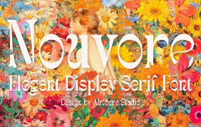 时尚复古品牌包装广告婚礼徽标设计衬线英文字体安装包 Nouvore – Display Serif Font