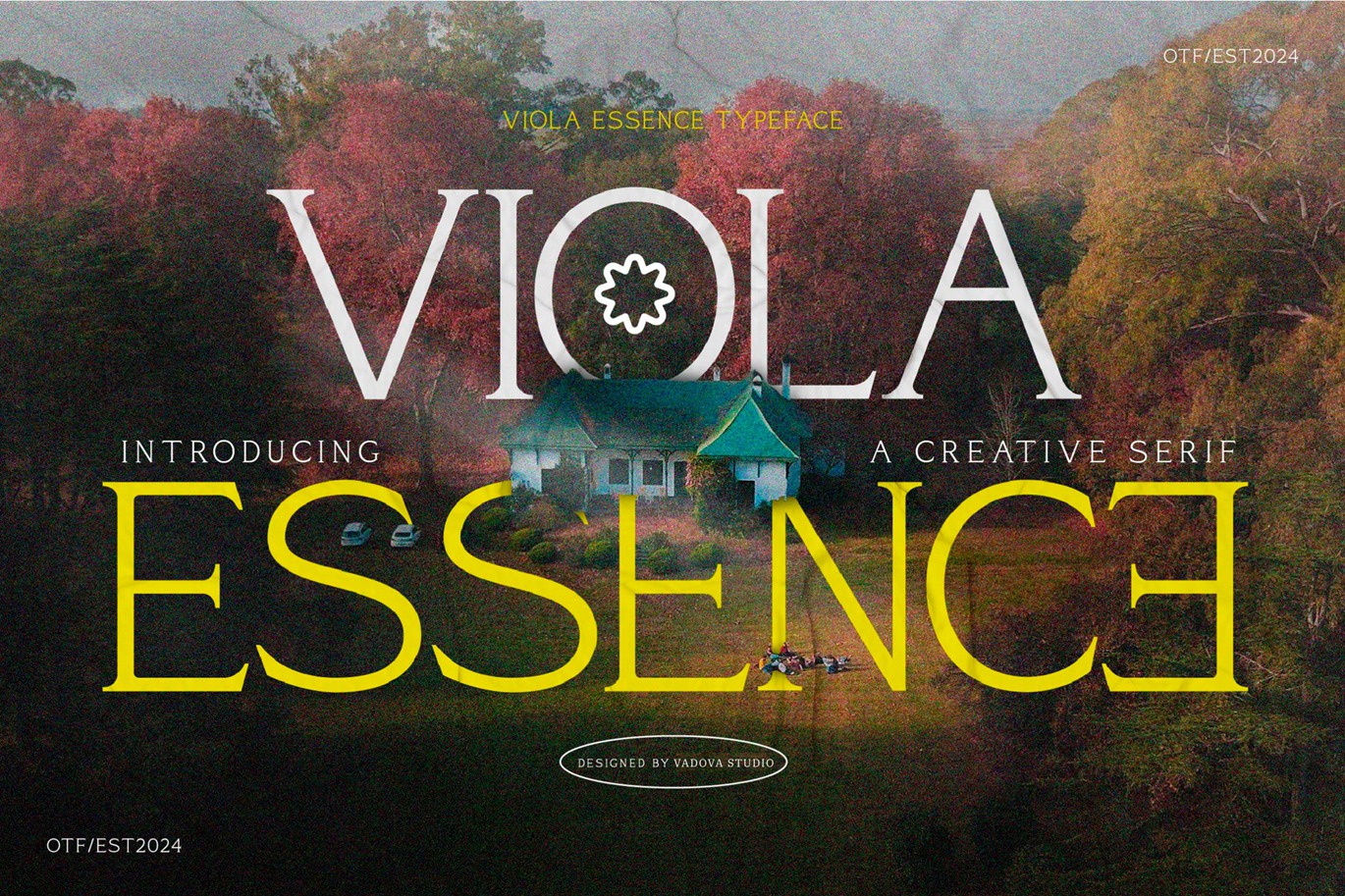 现代优雅品牌杂志徽标设计衬线英文字体安装包 Viola Essence Creative Serif Font , 第1张