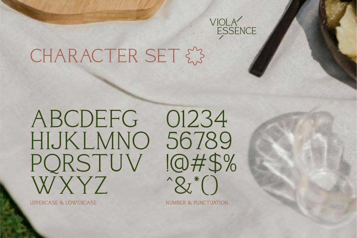 现代优雅品牌杂志徽标设计衬线英文字体安装包 Viola Essence Creative Serif Font , 第2张