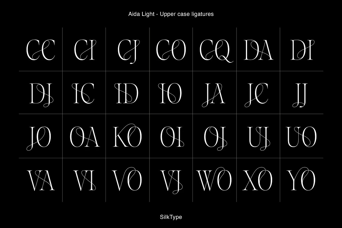 英文字体：超细现代典雅复古优雅品牌连字衬线体LOGO海报排版衬线字体 Aida - Elegant Ligature Serif , 第12张