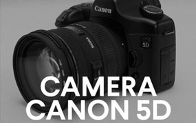 91个佳能5D DSLR相机拍照快门开关拨盘音效素材包 Big Room Sound Camera Canon 5D