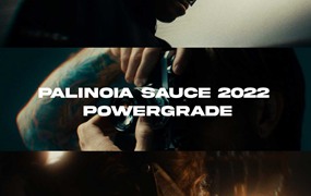 PALINOIA SAUCE 2022 POWERGRADE 好莱坞复古电影美学颗粒光晕旅拍摄影色彩分级达芬奇调色节点