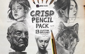 真实铅笔素描木炭笔线条绘画插画procreate笔刷画笔素材 CRISP Pencil Pack for Procreate